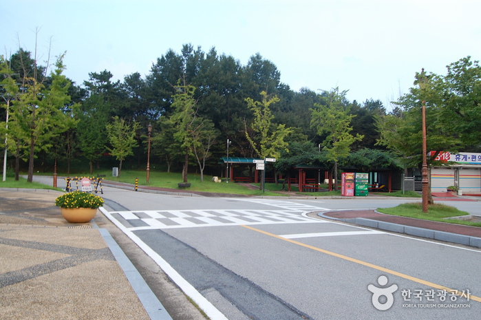 May 18th National Cemetery (국립 5.18 민주묘지)