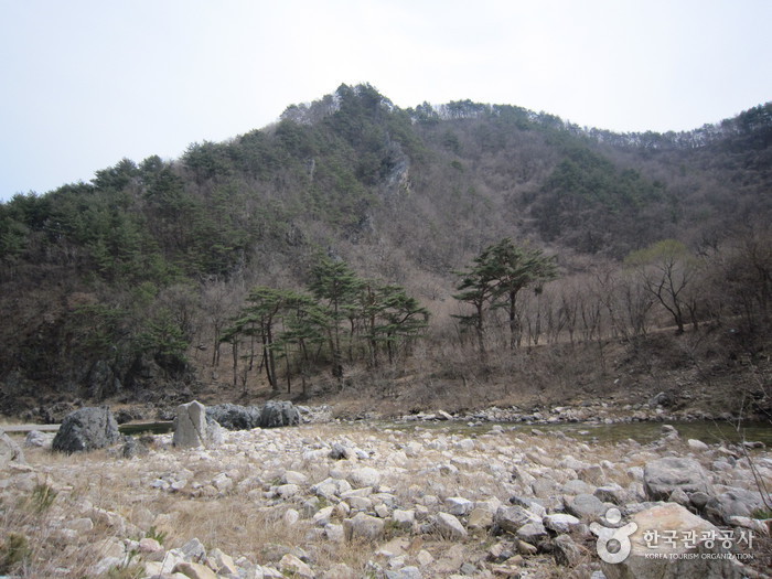 왕피천생태탐방로 사진15