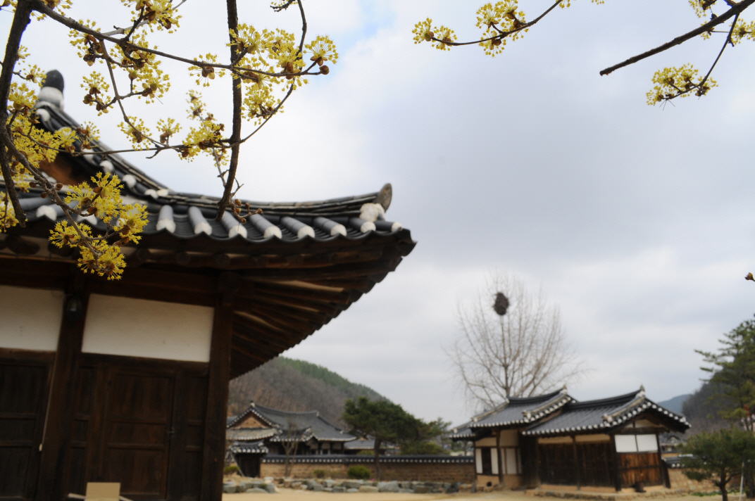 Songjeong House (송정고택)