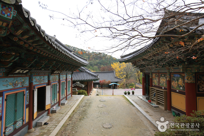 Temple Jeungsimsa (증심사)5