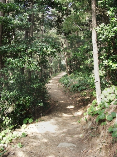 Haengnam Coastal Walking Path (행남 해안산책로)