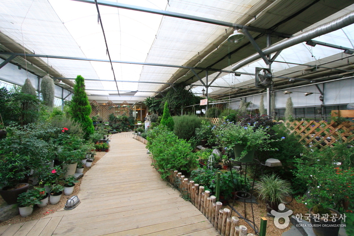 아를식물원0