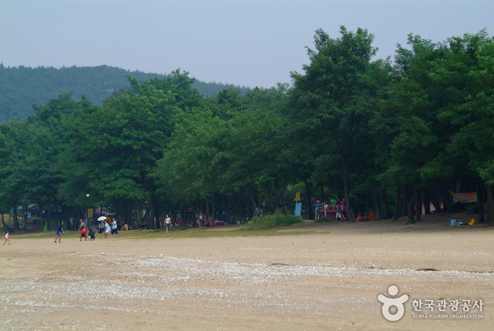 实尾海水浴场(실미해수욕장)1