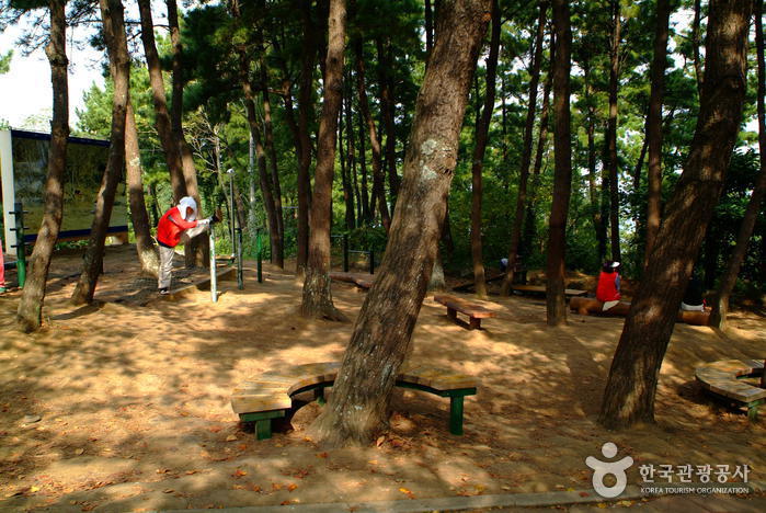 Sarabong-Park (사라봉공원)