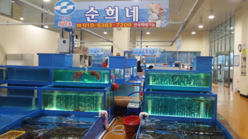 청호활어센터 순희네 (21호)4