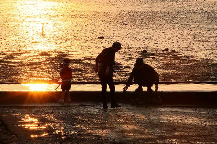 여수 여자만 갯벌노을축제 20190