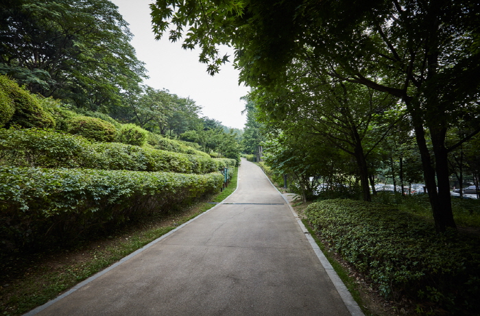 南山戶外植物園(남산 야외식물원)