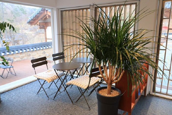 안동식선(관광두레 주민사업체)6