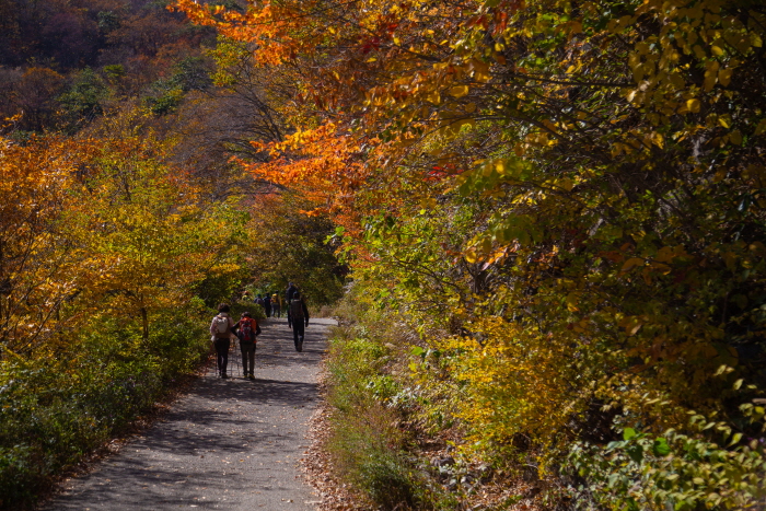 영남알프스 전국 산악대회 20190