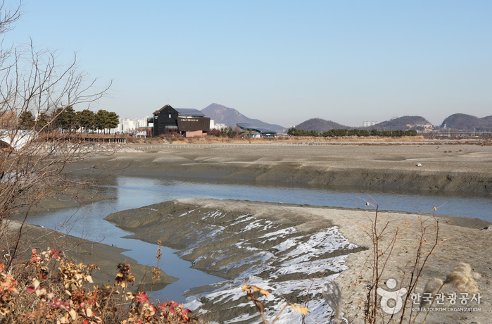 Sorae Marsh Ecological Park (소래습지생태공원)0