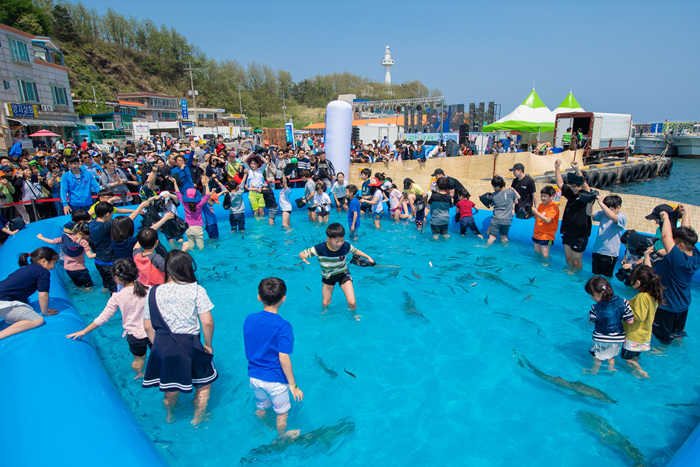 동해안 최북단 저도어장 대문어축제 20190