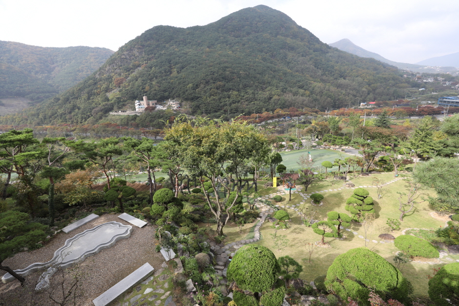 Arboreto de Daegu (대구수목원)