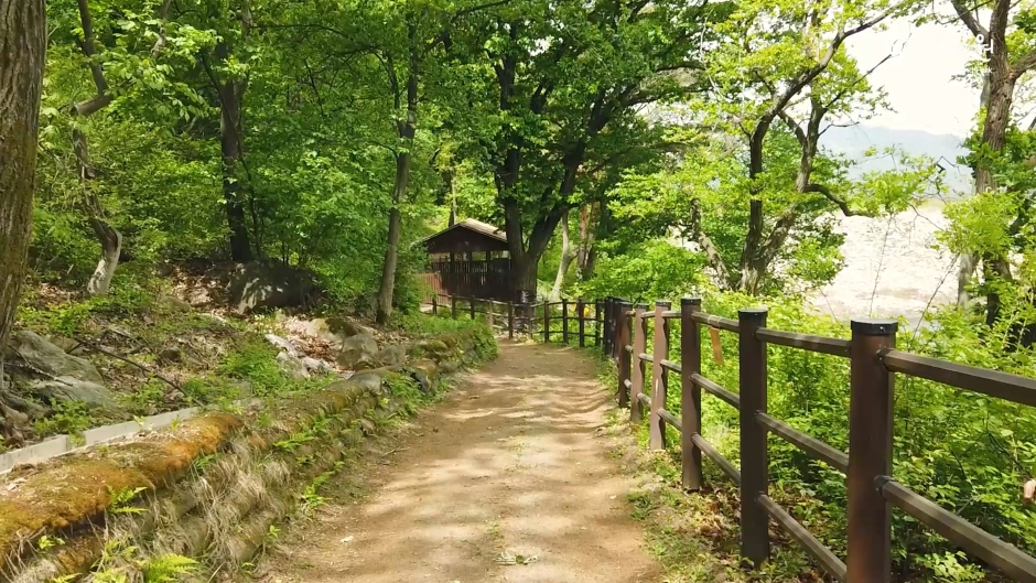 서울대공원산림욕장