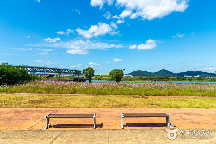 금강수변공원4