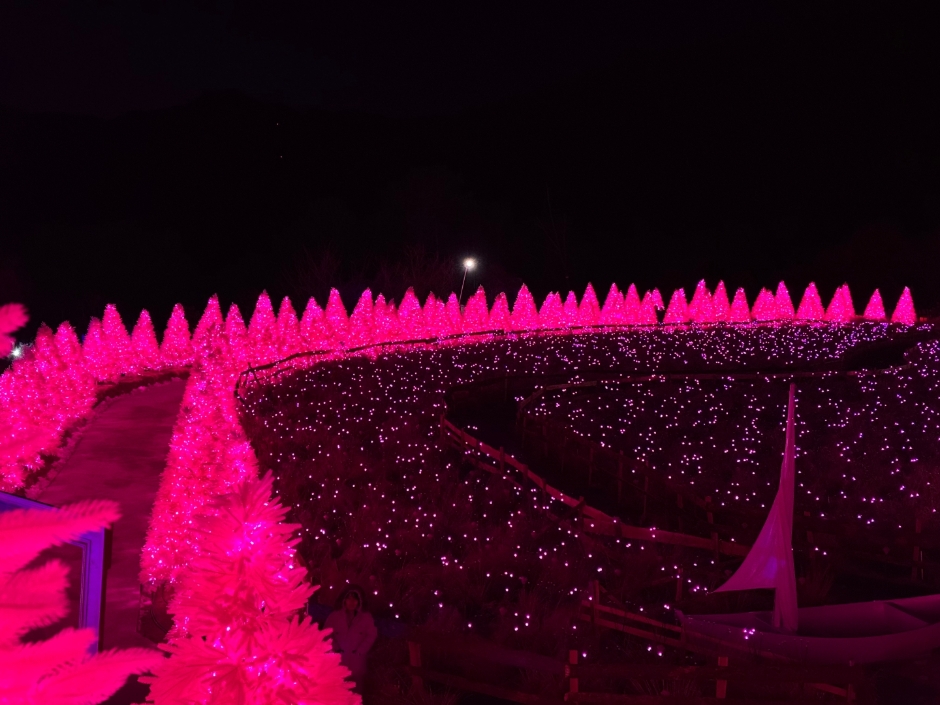 허브아일랜드 불빛동화축제