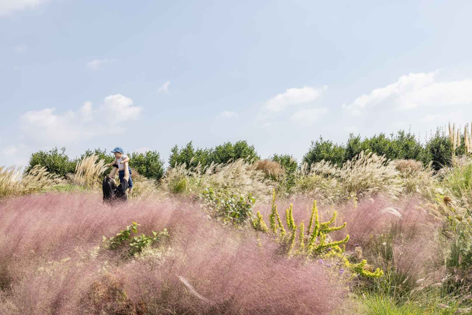 Camellia Hill (카멜리아힐)