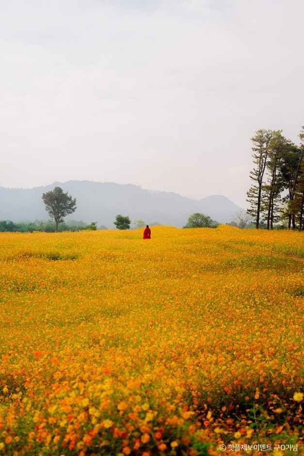 충의공원