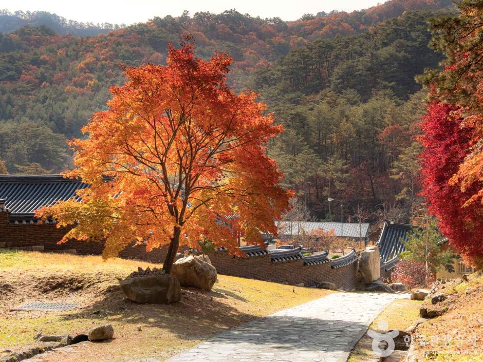 法兴寺(宁越)법흥사(영월)