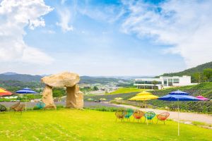 허브원 (6)