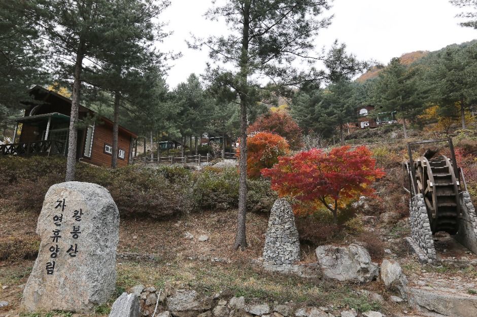 칼봉산자연휴양림