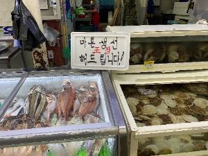 동해_동쪽바다중앙시장 (7)