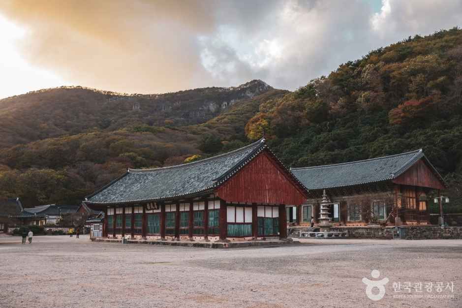 선운사(고창)