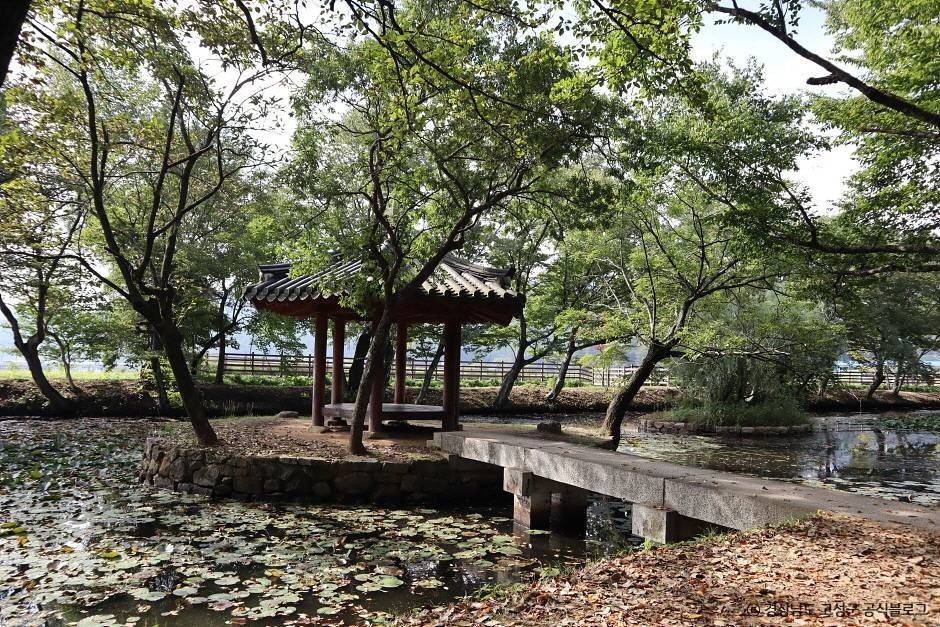 고성 장산숲