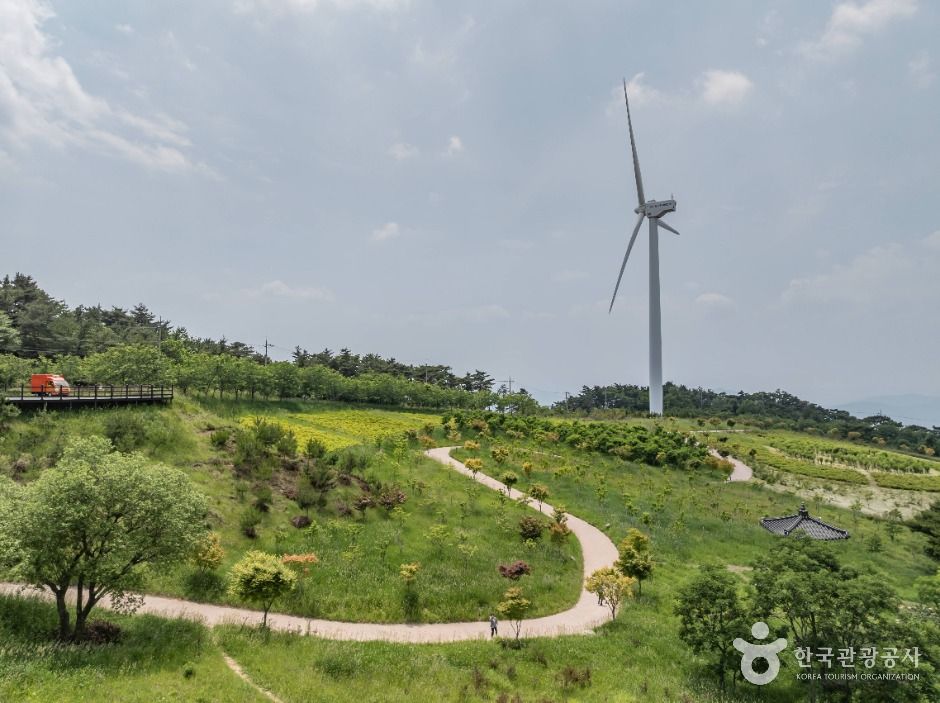 경주_경주 풍력발전(바람의언덕) (2)