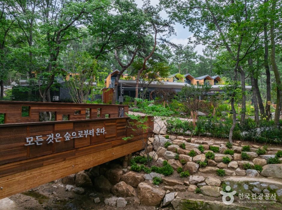 thumbnail-수락 휴(수락산 동막골 자연휴양림)-8