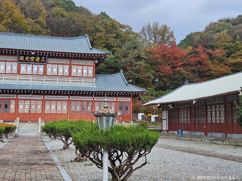 금강대도