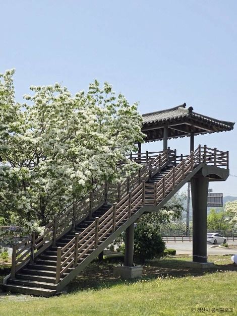 자인계정숲(경산 자인의계정숲)
