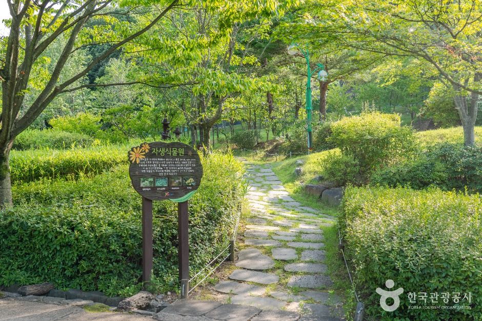 구미에코랜드