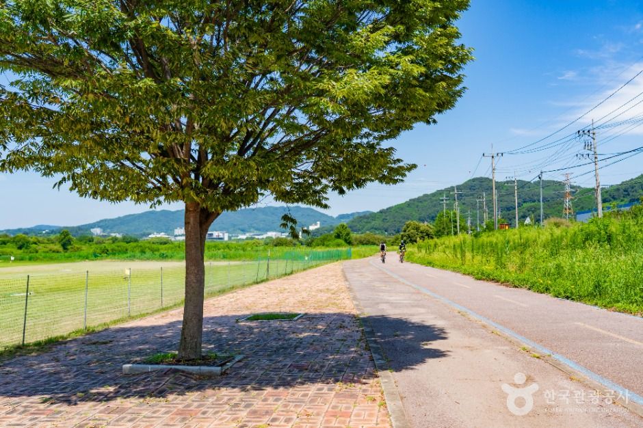 부용체육공원