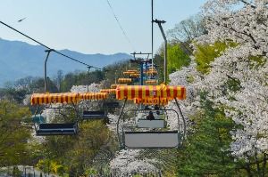 과천_스카이리프트 (3)