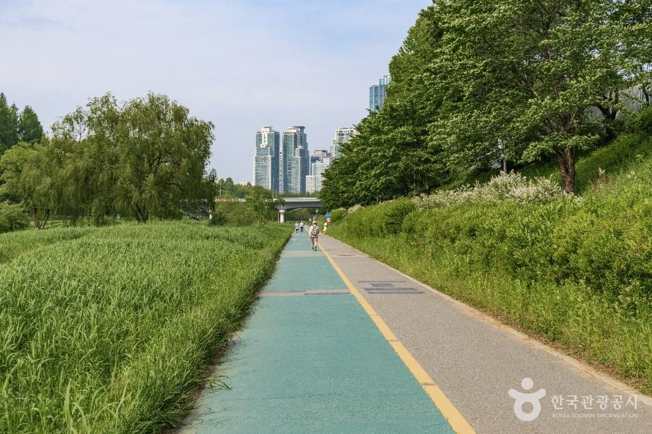 양재천 근린공원