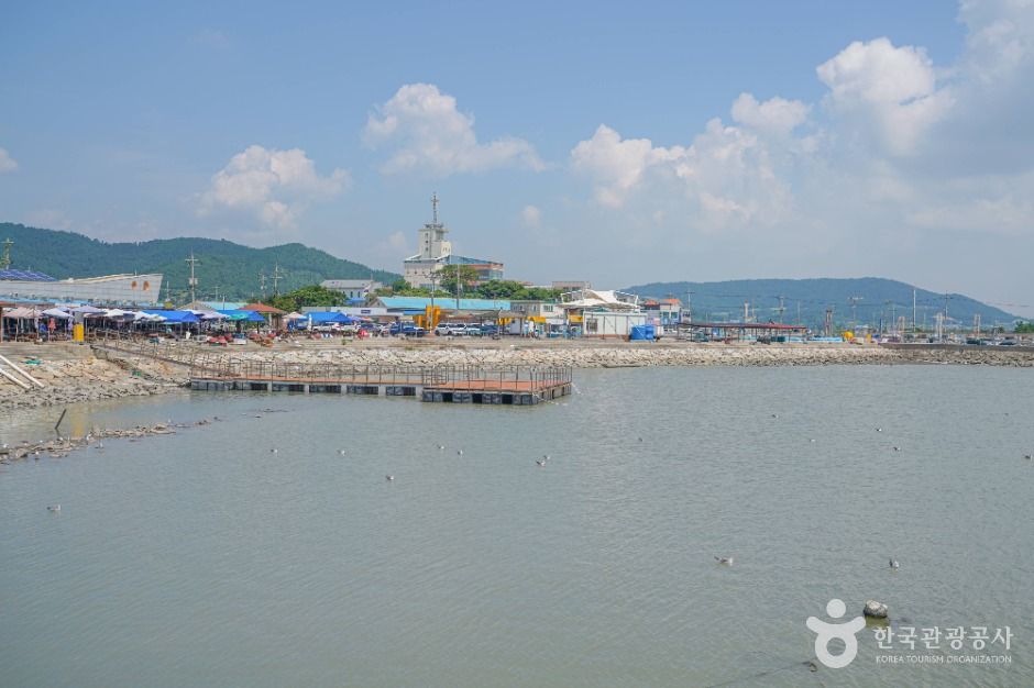 설도항