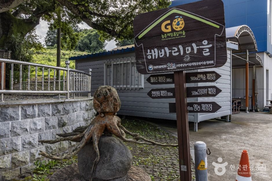 신흥해바리마을