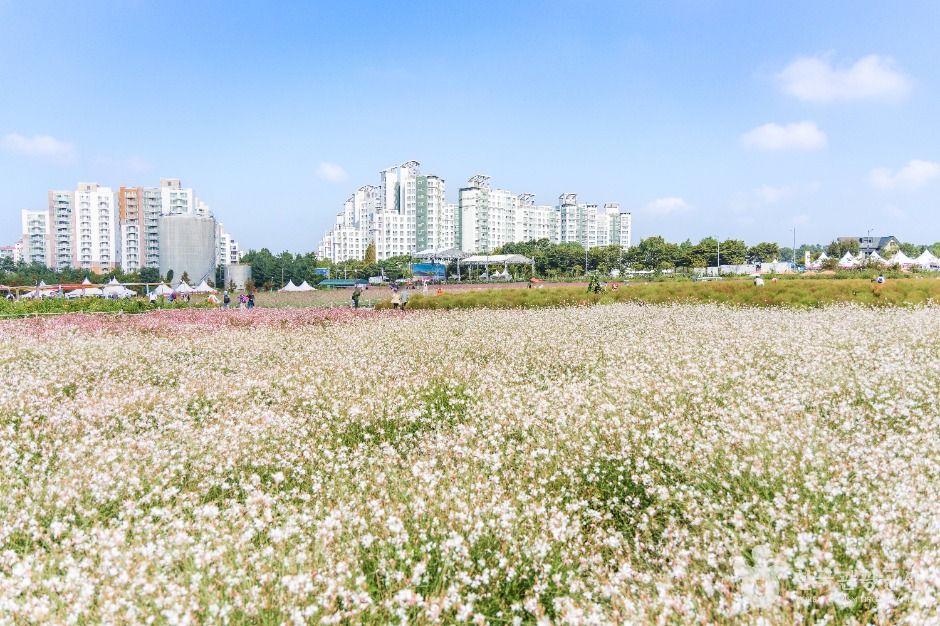 thumbnail-나리농원-8