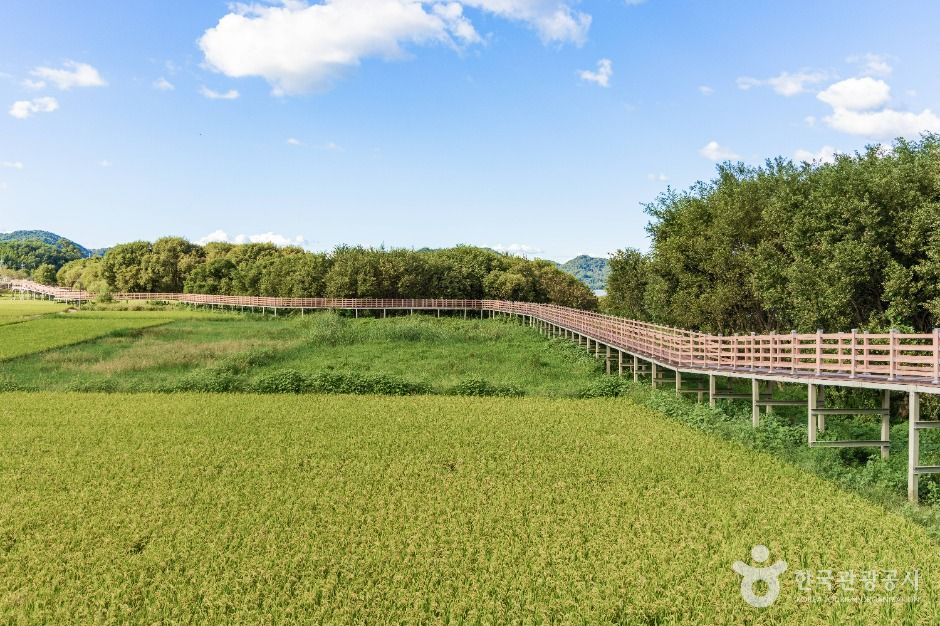 thumbnail-예당호중앙생태공원-6