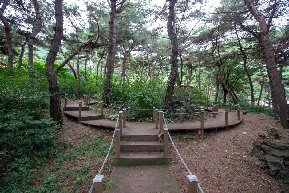 태학산자연휴양림_숲3