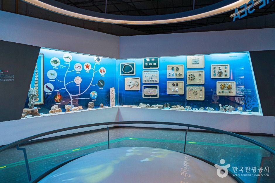 땅끝해양자연사박물관