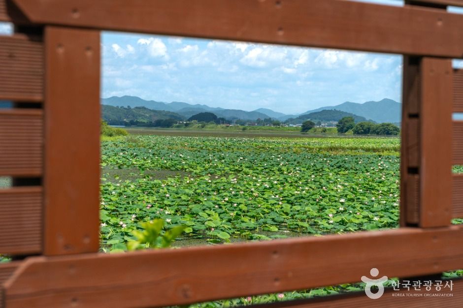 창원_주남저수지 철새도래지 (3)
