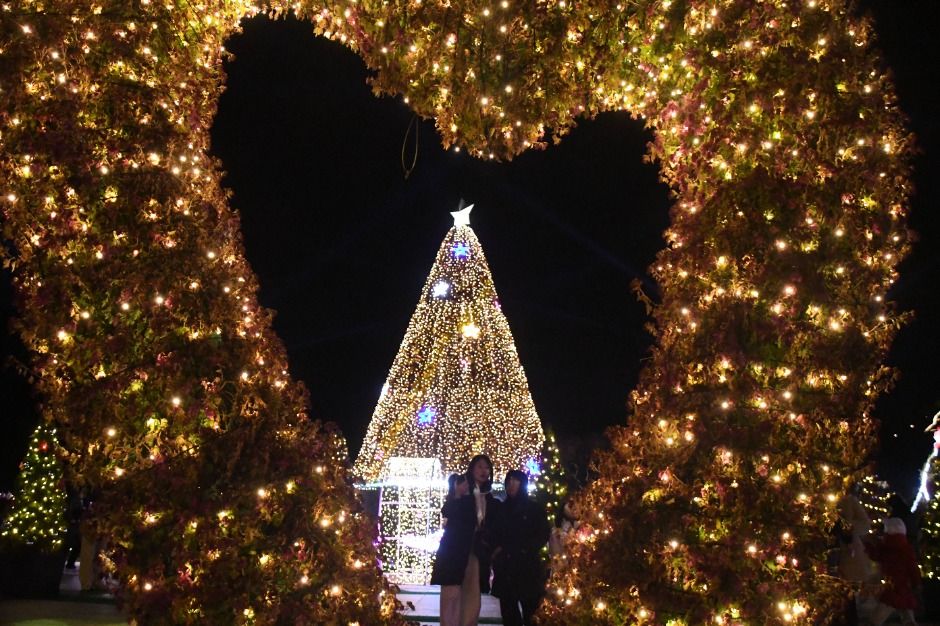 thumbnail-함평 겨울빛축제-4