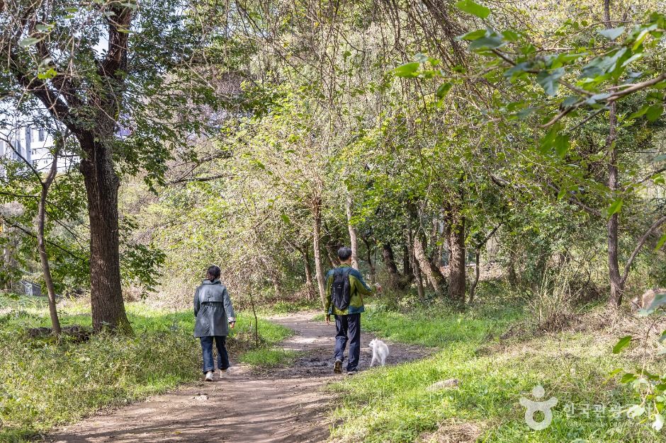 thumbnail-여의도샛강생태공원-8