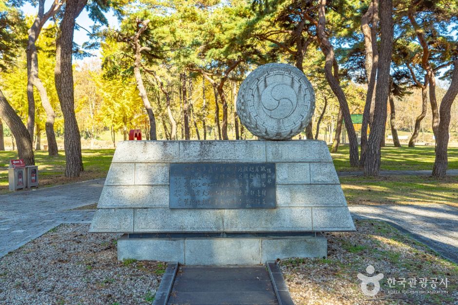 thumbnail-송호리송림-5