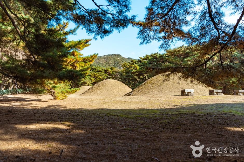 경주 배동 삼릉