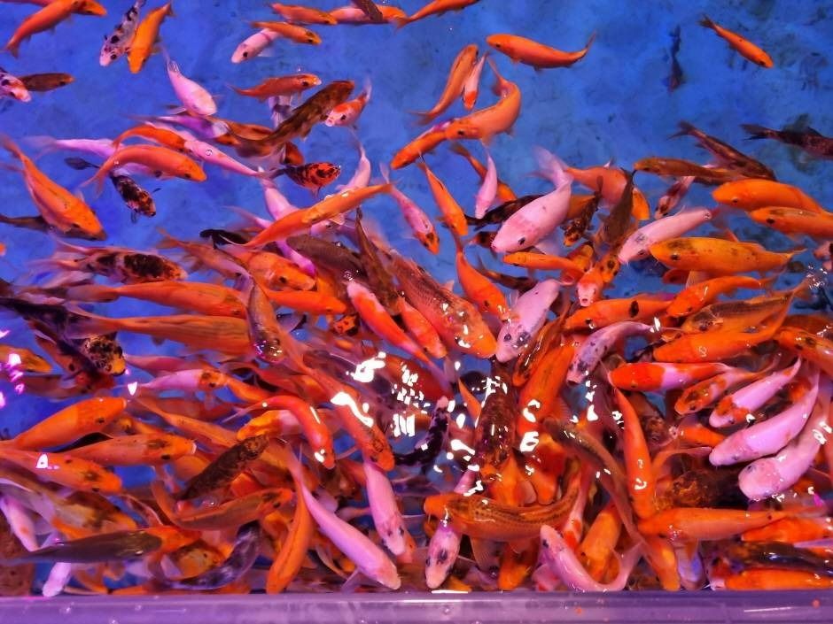 전라남도해양수산과학관