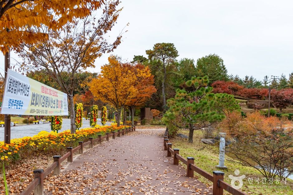 논산 시민가족공원