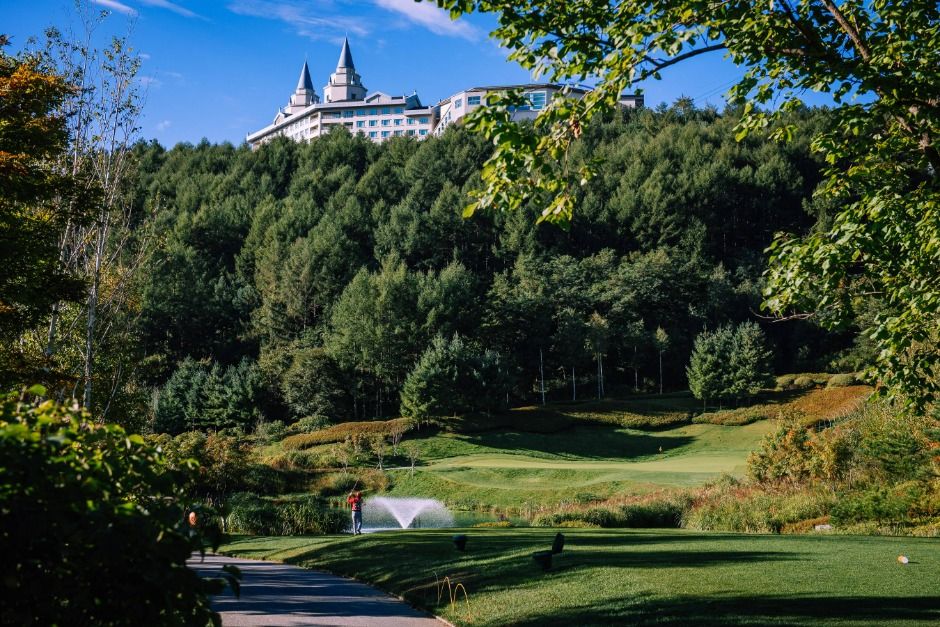 하이원 컨트리클럽