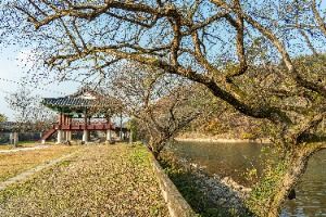 화순_영벽정 (11)